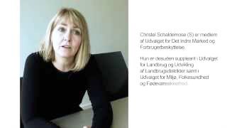 Christel Schaldemose besøger DLMØ